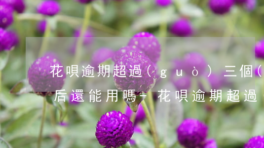 花唄逾期超過(guò)三個(gè)月以后還能用嗎-花唄逾期超過(guò)三個(gè)月以后還能用嗎怎么辦