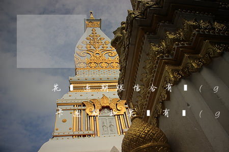 花唄逾期跟信合有關(guān)系嗎(信用卡逾期和花唄有關(guān)聯(lián)嗎)