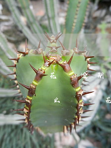 花唄逾期跟信用卡有關(guān)系嗎怎么辦-花唄逾期跟信用卡有關(guān)系嗎怎么辦理