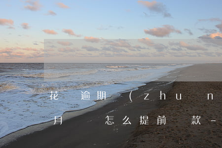 花唄逾期轉(zhuǎn)入下個(gè)月賬單怎么提前還款-花唄逾期轉(zhuǎn)入下個(gè)月賬單怎么提前還款啊