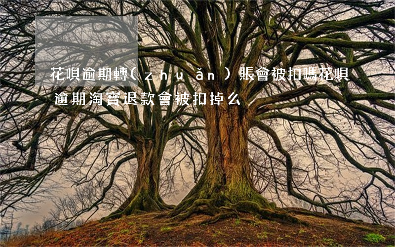花唄逾期轉(zhuǎn)賬會被扣嗎(花唄逾期淘寶退款會被扣掉么)