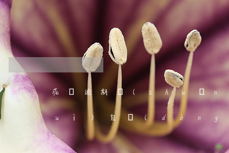 花唄逾期轉(zhuǎn)銀行卡里會(huì)自動(dòng)扣款嗎-花唄逾期轉(zhuǎn)銀行卡里會(huì)自動(dòng)扣款嗎安全嗎
