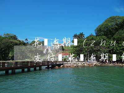 花唄逾期轉(zhuǎn)錢進(jìn)支付寶(花唄逾期還能用支付寶轉(zhuǎn)賬么)