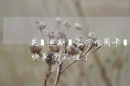 花唄逾期辦不了信用卡嗎(信用卡花唄都逾期快承受不住了)