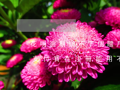 花唄逾期辦不了個體戶(花唄逾期不能用注銷支付寶在注冊能用不)