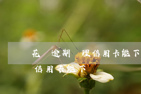 花唄逾期辦理信用卡能下來嗎(花唄逾期辦理信用卡能下來嗎)