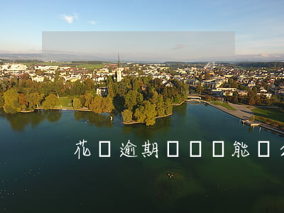 花唄逾期辦車貸能過么