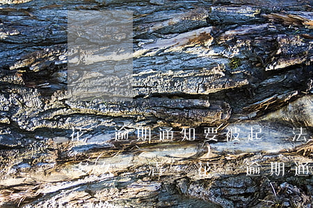 花唄逾期通知要被起訴法院會(huì)判多久還清-花唄逾期通知要被起訴法院會(huì)判多久還清錢