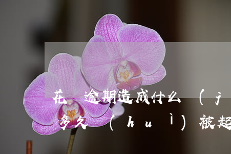 花唄逾期造成什么結(jié)果(花唄逾期多久會(huì)被起訴?花唄逾期怎么辦)