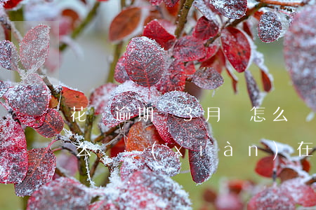花唄逾期連3月會怎么樣(花唄逾期三年會怎么樣現(xiàn)在說要上門)