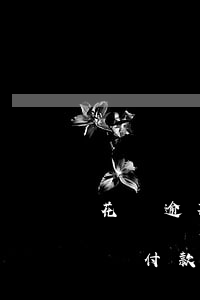 花唄逾期逾期不能用了(支付寶逾期不能用花唄付款是怎么回事)