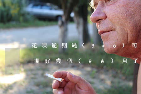 花唄逾期過(guò)可以分期車么(花唄逾期好幾個(gè)月了我還能貸款買車嗎)