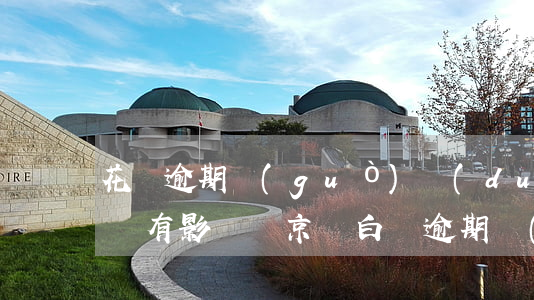 花唄逾期過(guò)對(duì)京東白條有影響嗎(京東白條逾期會(huì)影響支付寶花唄借唄嗎)
