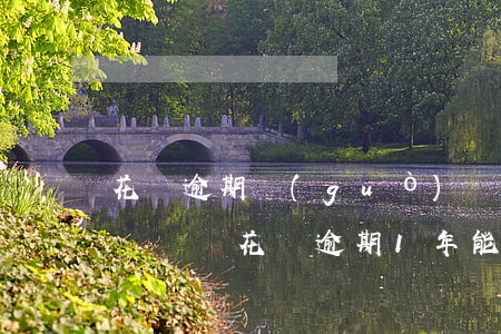 花唄逾期過(guò)幾次兩年之后可以貸車貸嗎（花唄逾期1年能不能辦車貸）