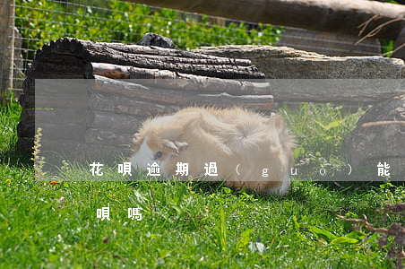 花唄逾期過(guò)能開(kāi)通借唄嗎