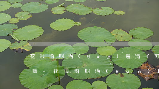 花唄逾期過(guò)還清了可以辦信用卡嗎-花唄逾期過(guò)還清了可以辦信用卡嗎