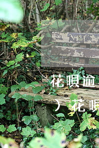 花唄逾期過(guò)重新申請(qǐng)花唄能開(kāi)通嗎-花唄逾期過(guò)重新申請(qǐng)花唄能開(kāi)通嗎安全嗎