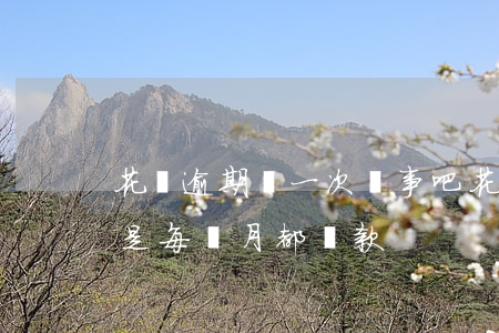 花唄逾期過一次沒事吧(花唄每個月都逾期 但是每個月都還款)