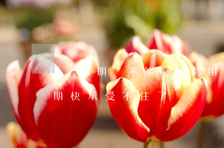 花唄逾期過不能辦理信用卡(信用卡花唄都逾期快承受不住了)