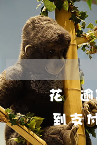 花唄逾期過京東金條(京東金條逾期了,會影響到支付寶借唄嗎)