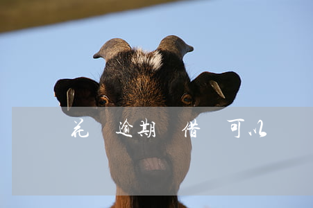 花唄逾期過借唄可以開嗎