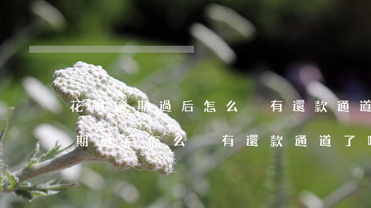 花唄逾期過后怎么沒有還款通道了-花唄逾期過后怎么沒有還款通道了呢