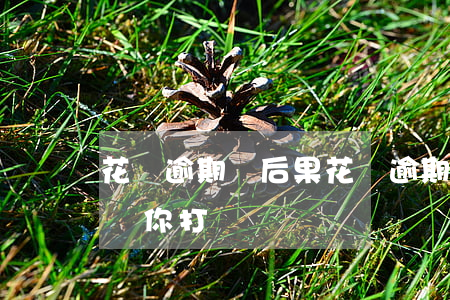 花唄逾期過后果(花唄逾期后果支付寶會不會給你打電話)