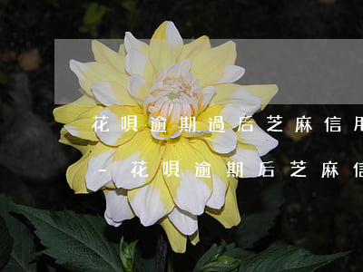 花唄逾期過后芝麻信用分什么時候恢復正常-花唄逾期后芝麻信用什么時候能漲回去