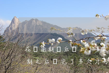 花唄逾期過后還上了多久可以再用-花唄逾期之后還完了多久才可以繼續(xù)使用花唄