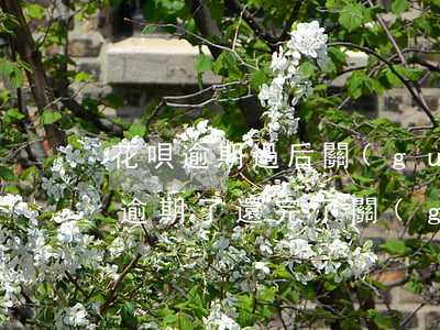 花唄逾期過后關(guān)了開不了(花唄逾期了還完了關(guān)閉花唄,什么時(shí)候可以在開)