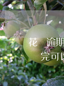 花唄逾期過影響當(dāng)兵嗎(花唄沒還完可以當(dāng)兵嗎)