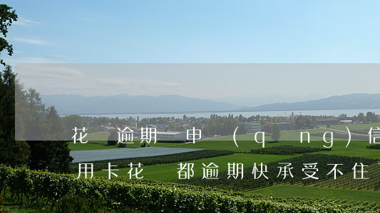 花唄逾期過申請(qǐng)信用卡過了(信用卡花唄都逾期快承受不住了)