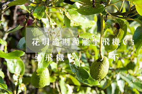 花唄逾期過能坐飛機(jī)嗎(借唄逾期能坐飛機(jī)不)
