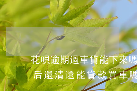 花唄逾期過車貸能下來嗎(支付寶花唄逾期以后,還清還能貸款買車嗎?)