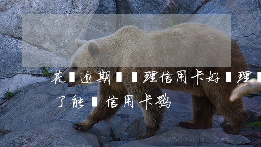 花唄逾期過辦理信用卡好辦理嗎-花唄逾期了能辦信用卡嘛