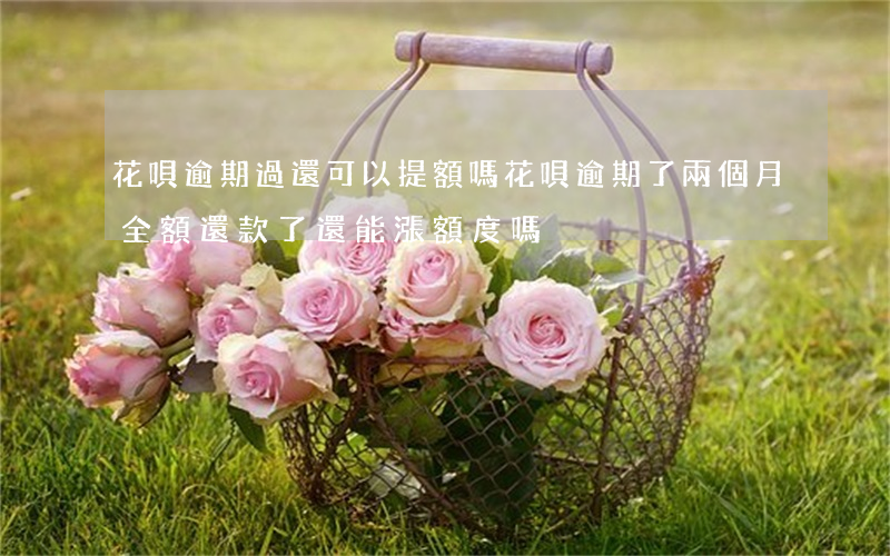 花唄逾期過還可以提額嗎(花唄逾期了兩個月全額還款了還能漲額度嗎)