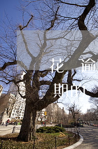 花唄逾期違約金會(huì)很高么(花唄逾期的話是不是還上逾期的錢(qián)就可以了)