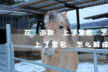 花唄逾期還上了黑名單怎么解除-花唄逾期還上了黑名單怎么解除