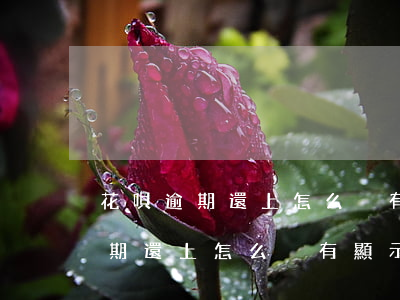 花唄逾期還上怎么沒有顯示額度了-花唄逾期還上怎么沒有顯示額度了呢