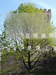 花唄逾期還上款還有額度(花唄逾期的話是不是還上逾期的錢就可以了)