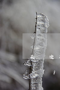 花唄逾期還上沒有額度了(為什么花唄逾期已經(jīng)還了,但是用不了花唄)