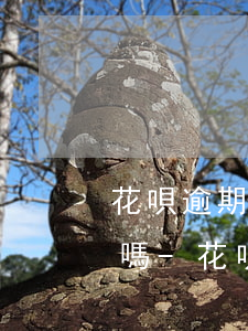 花唄逾期還不上了可以協(xié)商還款嗎-花唄逾期暫時(shí)還不上可以協(xié)商分期么