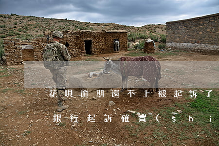 花唄逾期還不上被起訴了怎么辦(花唄逾期被銀行起訴,確實(shí)還不起,怎么辦)