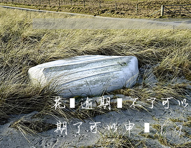 花唄逾期還不了可以分期(支付寶螞蟻花唄逾期了可以申請(qǐng)分期嗎)