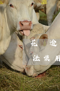 花唄逾期還不了怎么還(花唄顯示逾期,花唄無法使用了,怎么還款)