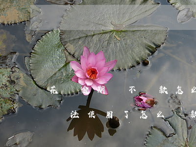 花唄逾期還不見款怎么辦(花唄顯示逾期,花唄無法使用了,怎么還款)