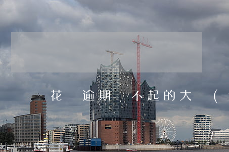 花唄逾期還不起的大學(xué)生