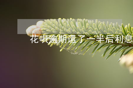 花唄逾期還了一半后利息怎么算-