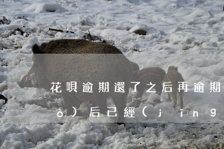 花唄逾期還了之后再逾期(花唄逾期過(guò)后已經(jīng)還款了怎樣恢復(fù)正常)