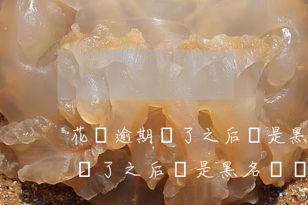 花唄逾期還了之后會是黑名單嗎-花唄逾期還了之后會是黑名單嗎怎么辦